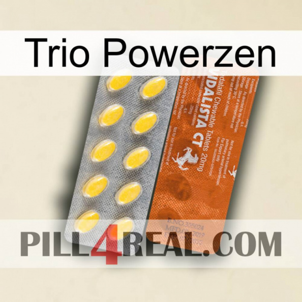 Trio Powerzen 42.jpg